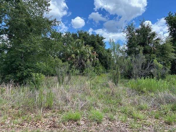 0.14 Acres of Residential Land for Sale in Hernando, Florida