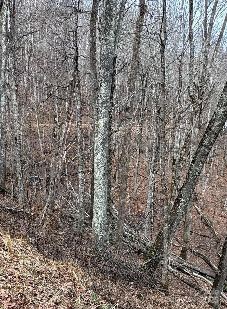 0.64 Acres of Residential Land for Sale in Mars Hill, North Carolina