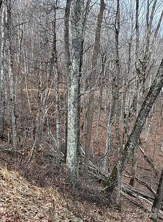 0.64 Acres of Residential Land for Sale in Mars Hill, North Carolina