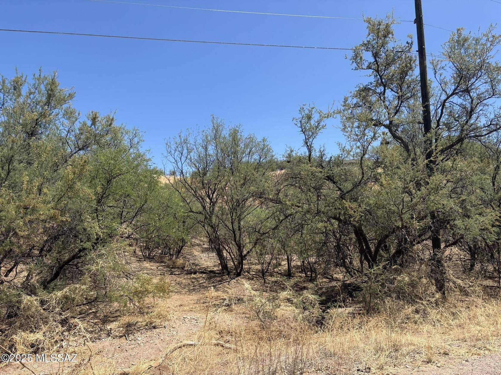 1.44 Acres of Residential Land for Sale in Rio Rico, Arizona