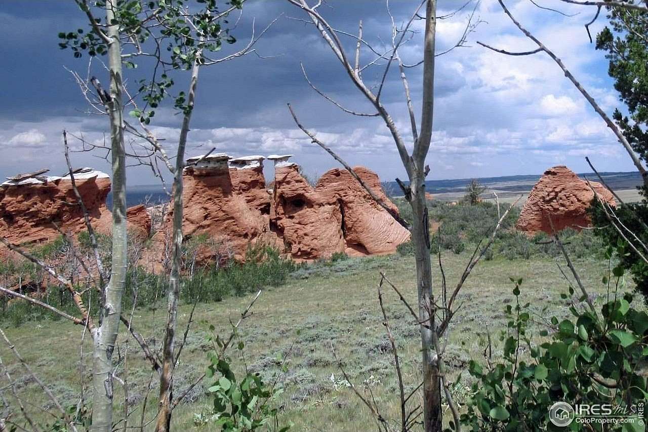 35 Acres of Recreational Land for Sale in Livermore, Colorado