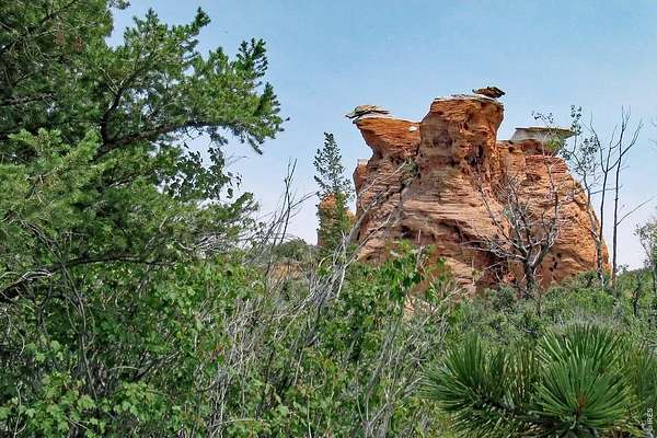 35 Acres of Land for Sale in Laramie, Colorado