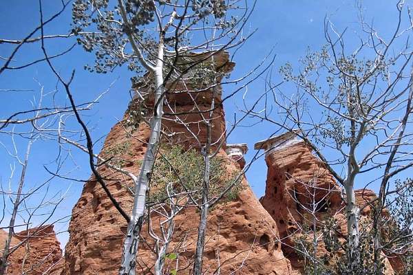 35 Acres of Recreational Land for Sale in Laramie, Colorado