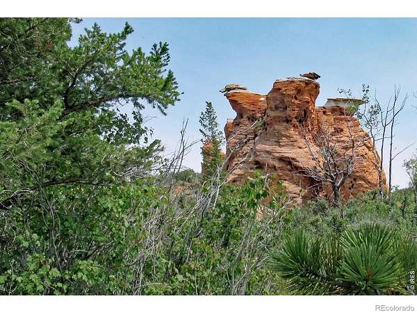 35 Acres of Land for Sale in Red Feather Lakes, Colorado