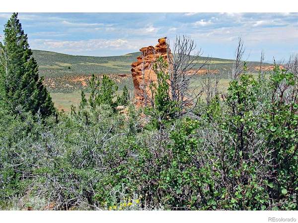 35 Acres of Recreational Land for Sale in Red Feather Lakes, Colorado