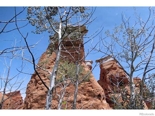 35 Acres of Recreational Land for Sale in Red Feather Lakes, Colorado