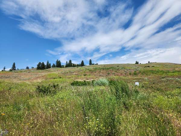 60 Acres of Recreational Land for Sale in Tonasket, Washington