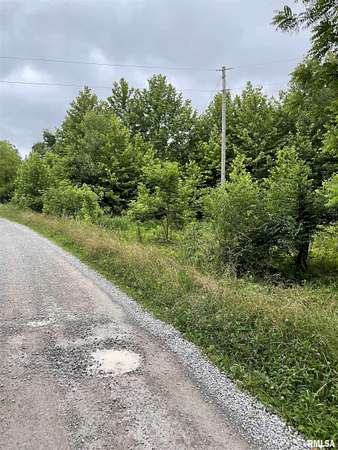 Land for Sale in Dongola, Illinois