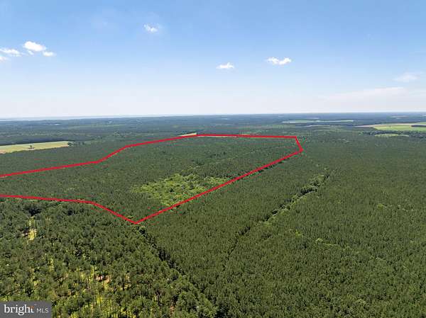 175 Acres of Land for Sale in Newark, Maryland