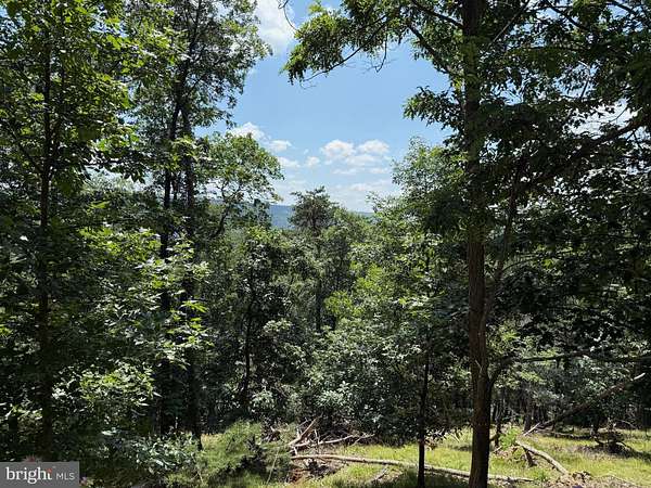 27.2 Acres of Recreational Land for Sale in Romney, West Virginia