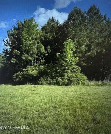 10 Acres of Land for Sale in Hertford, North Carolina