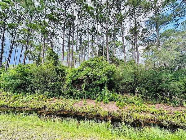 2 Acres of Residential Land for Sale in Apalachicola, Florida