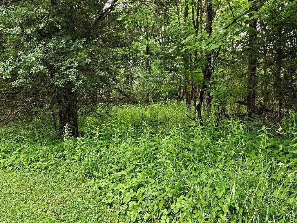 2.26 Acres of Land for Sale in Cazenovia, New York