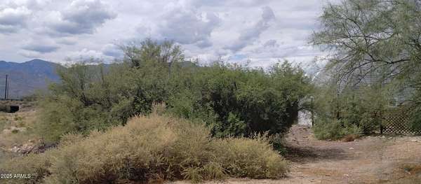 0.17 Acres of Residential Land for Sale in Swift Trail Junction, Arizona