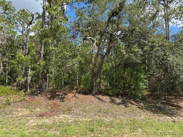 0.3 Acres of Residential Land for Sale in Citrus Springs, Florida