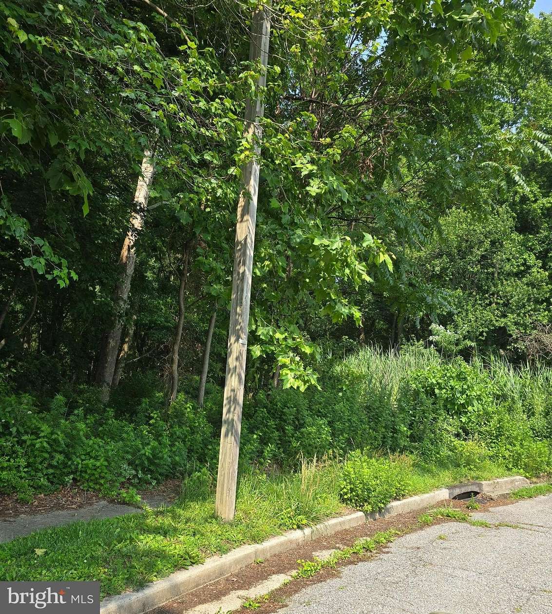 0.36 Acres of Residential Land for Sale in Pennsville, New Jersey