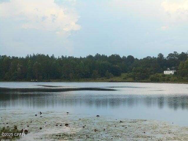 1.24 Acres of Land for Sale in Alford, Florida