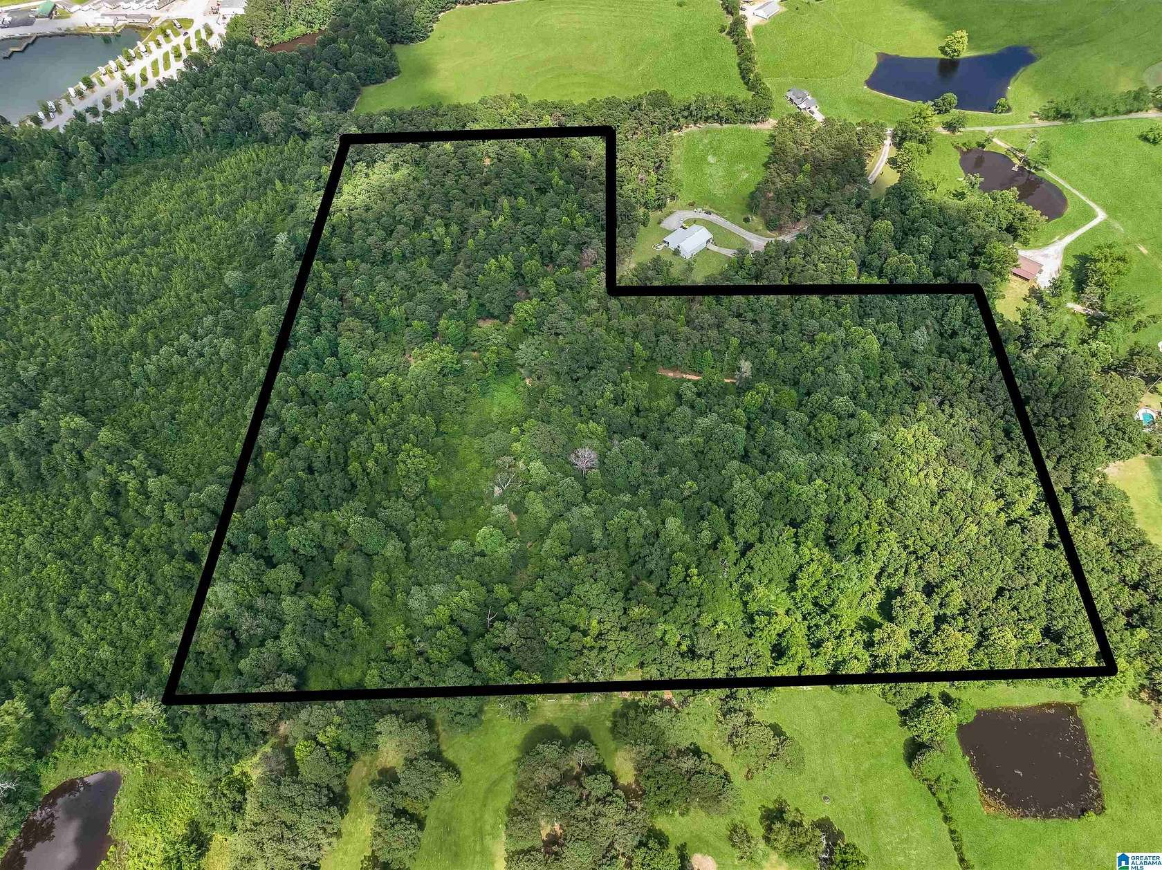 30 Acres of Land for Sale in Clanton, Alabama