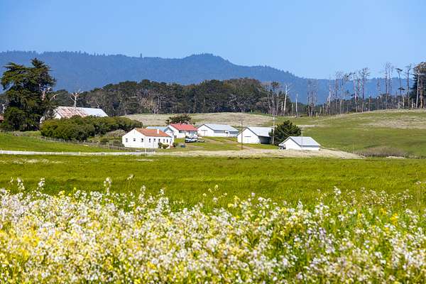 277 Acres of Agricultural Land with Home for Sale in Point Arena, California