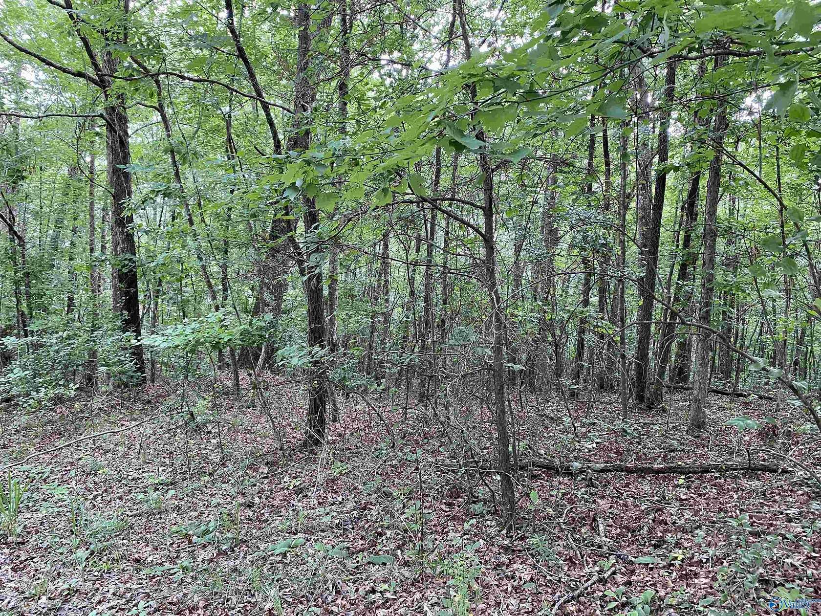 3.2 Acres of Residential Land for Sale in Fort Payne, Alabama