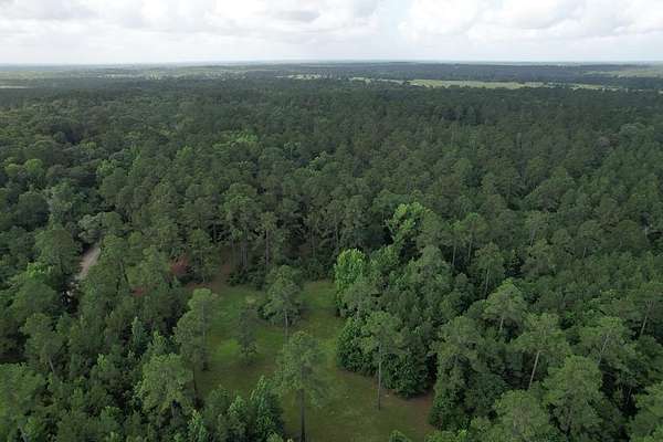 64.3 Acres of Land for Sale in Crockett, Texas