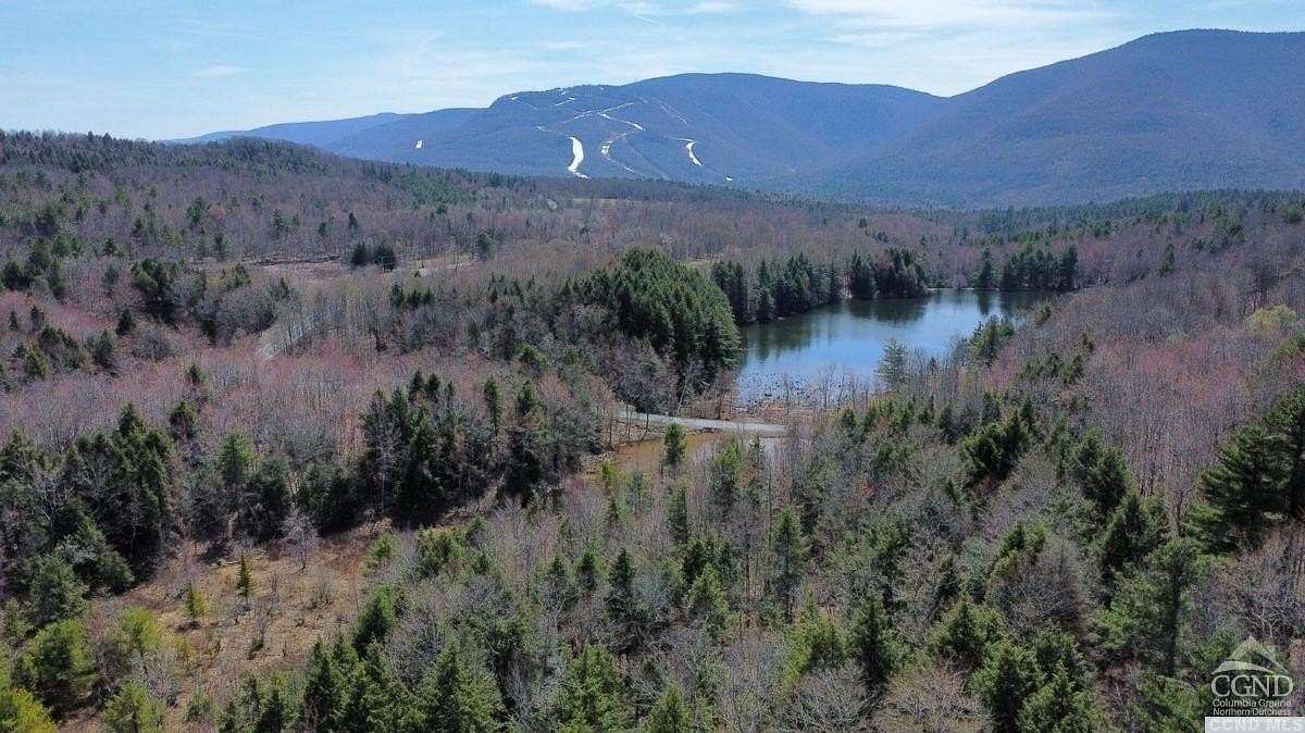 30 Acres of Land for Sale in Jewett, New York