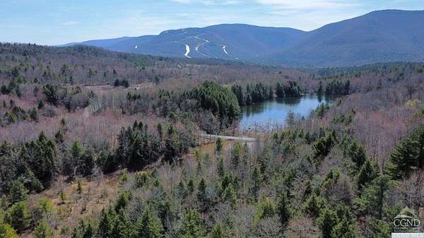 30 Acres of Land for Sale in Jewett, New York