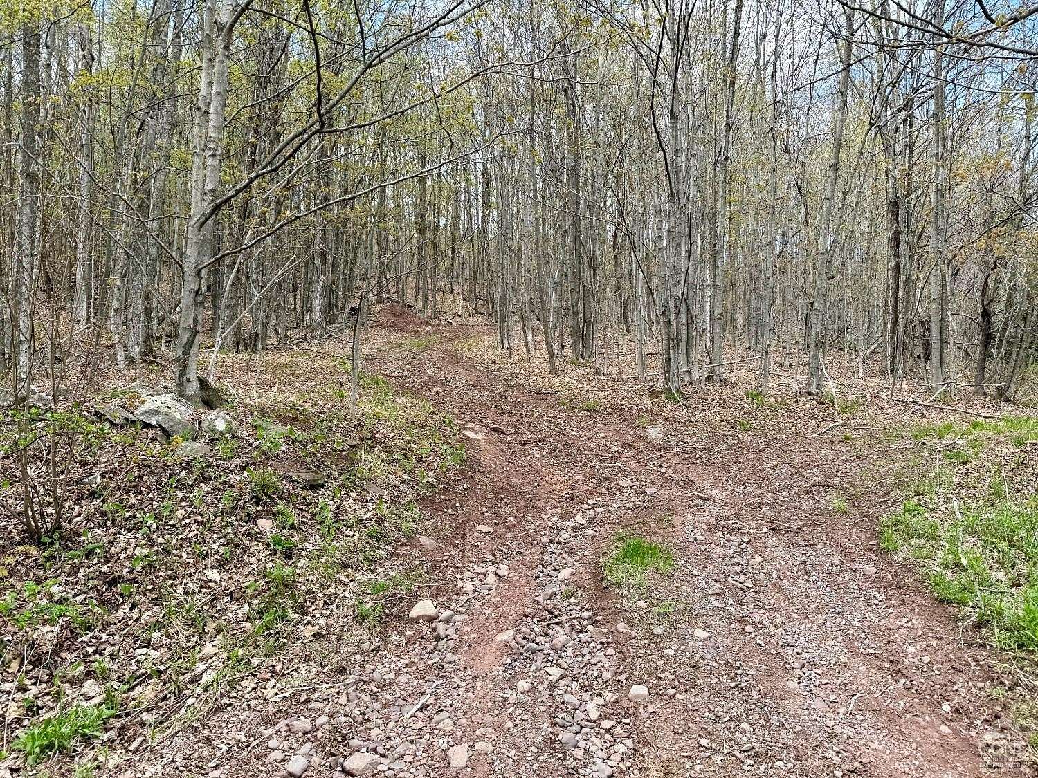 60 Acres of Recreational Land for Sale in Windham, New York