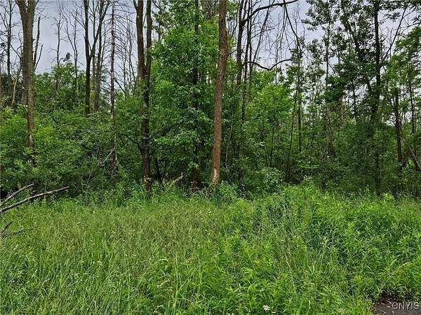 2 Acres of Residential Land for Sale in Cazenovia, New York