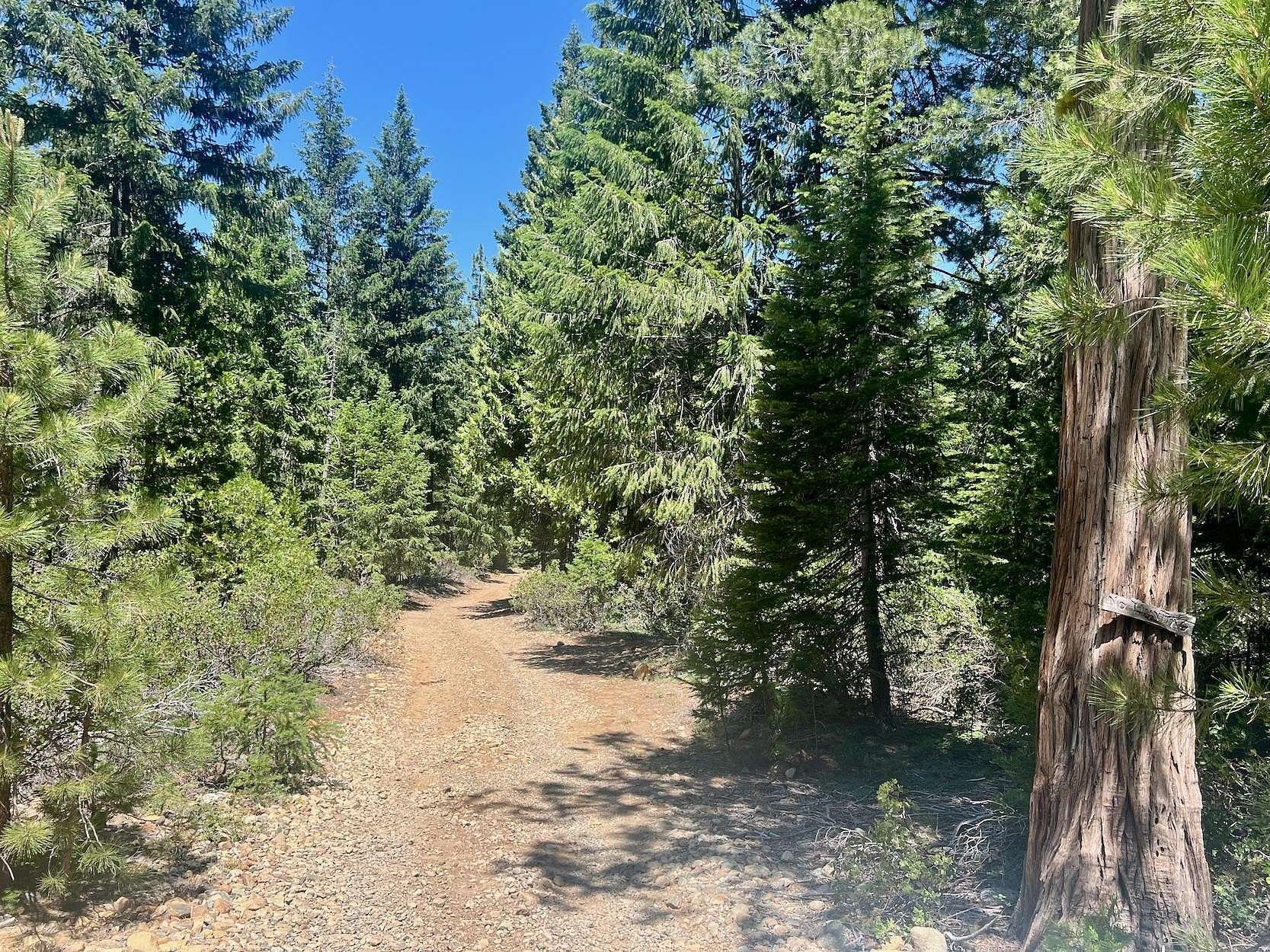 2.64 Acres of Residential Land for Sale in Johnsville, California