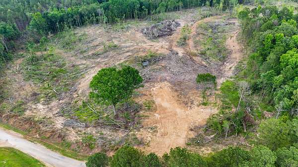 7.36 Acres of Residential Land for Sale in Mantee, Mississippi