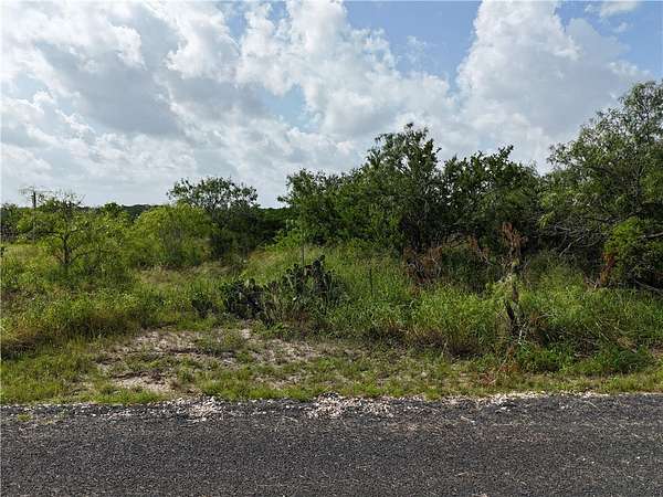 0.35 Acres of Residential Land for Sale in Sandia, Texas