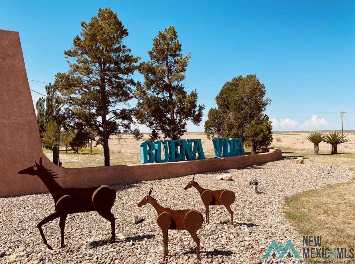 6 Acres of Land for Sale in Roswell, New Mexico