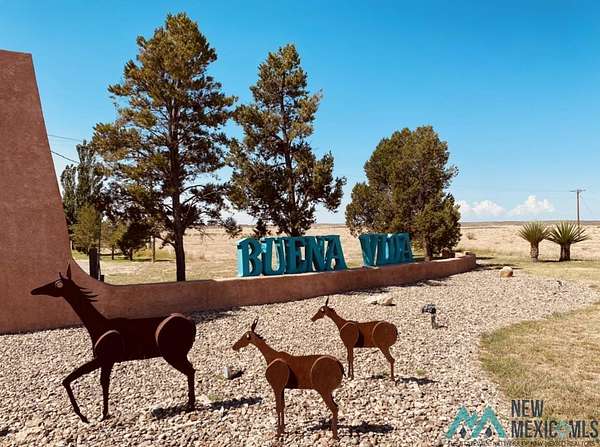 6 Acres of Land for Sale in Roswell, New Mexico