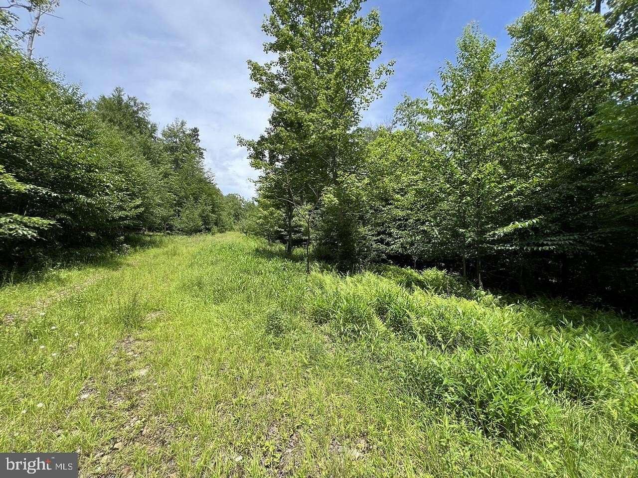 9.59 Acres of Residential Land for Sale in Davis, West Virginia