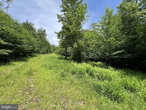 9.59 Acres of Residential Land for Sale in Davis, West Virginia