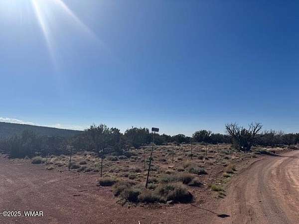 36.5 Acres of Recreational Land for Sale in Concho, Arizona