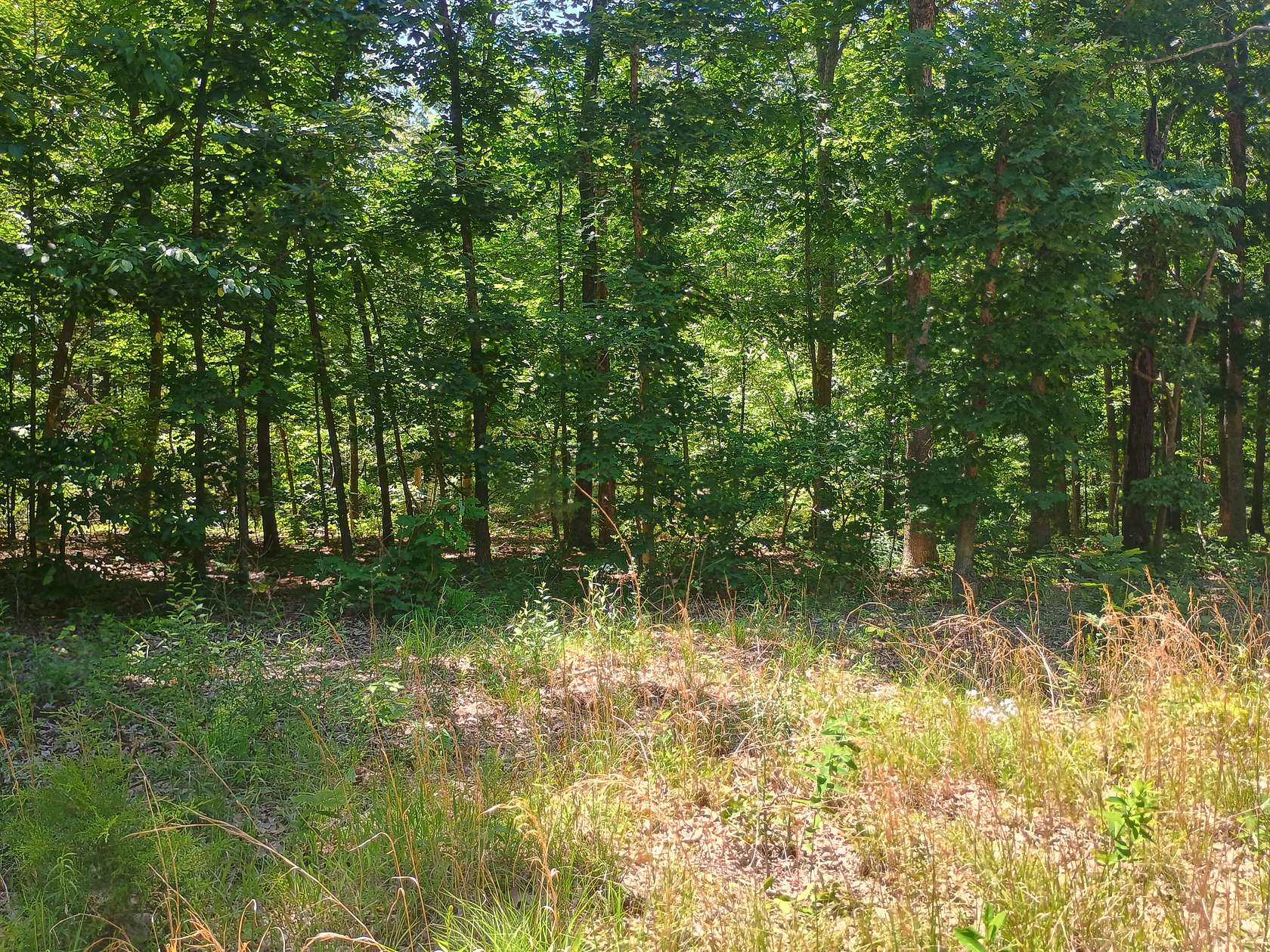 0.11 Acres of Residential Land for Sale in Ash Flat, Arkansas