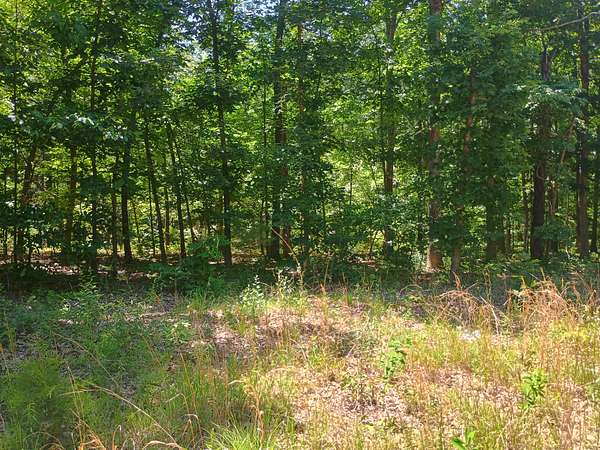 0.11 Acres of Residential Land for Sale in Ash Flat, Arkansas