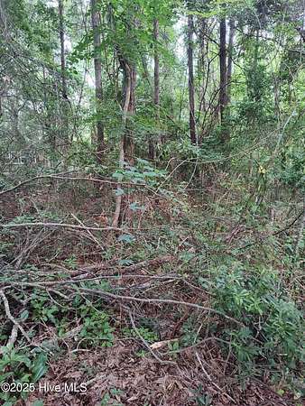 0.37 Acres of Residential Land for Sale in Hubert, North Carolina