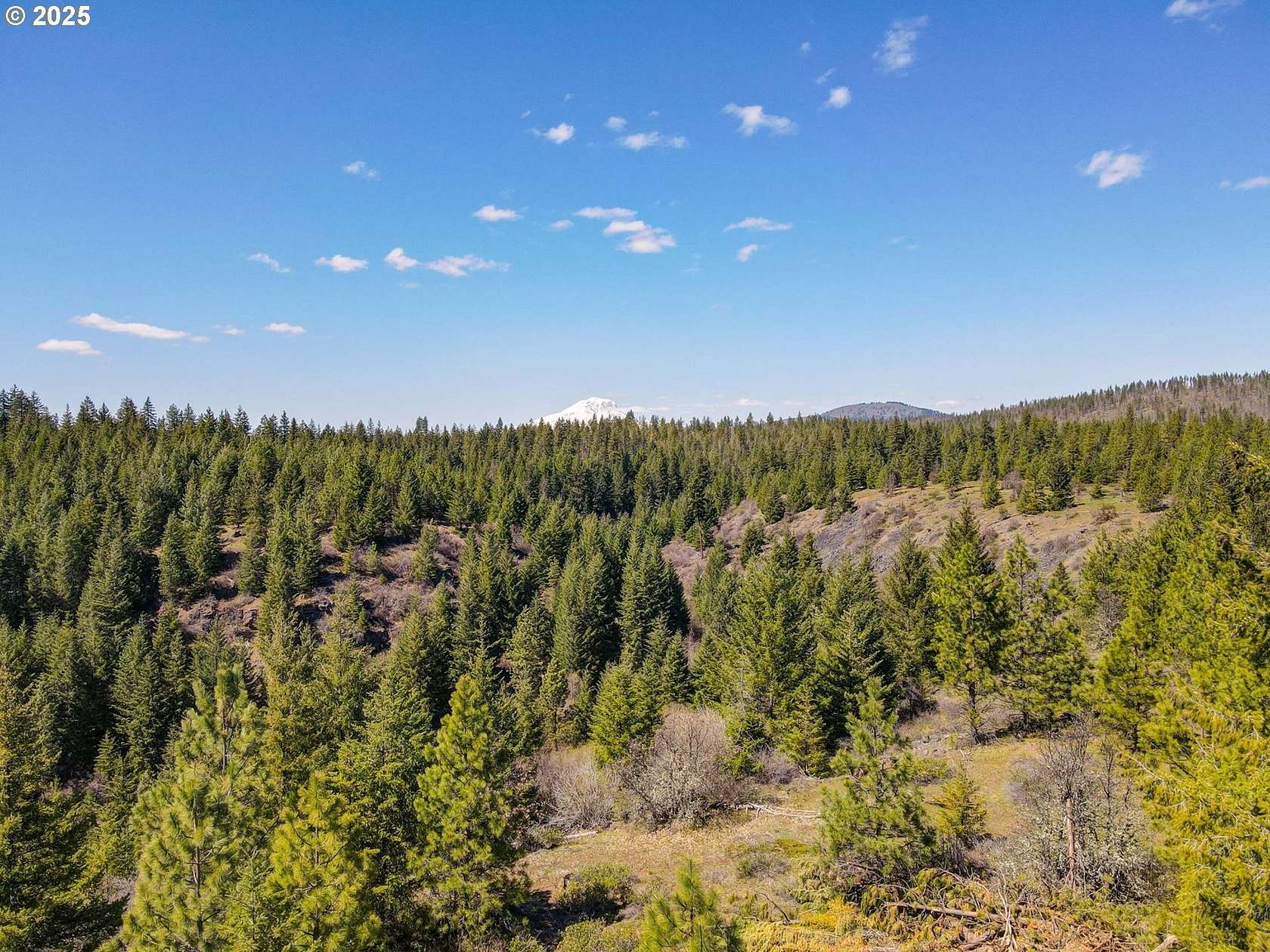 80 Acres of Recreational Land for Sale in Goldendale, Washington
