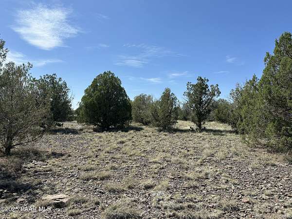 36.5 Acres of Land for Sale in Seligman, Arizona
