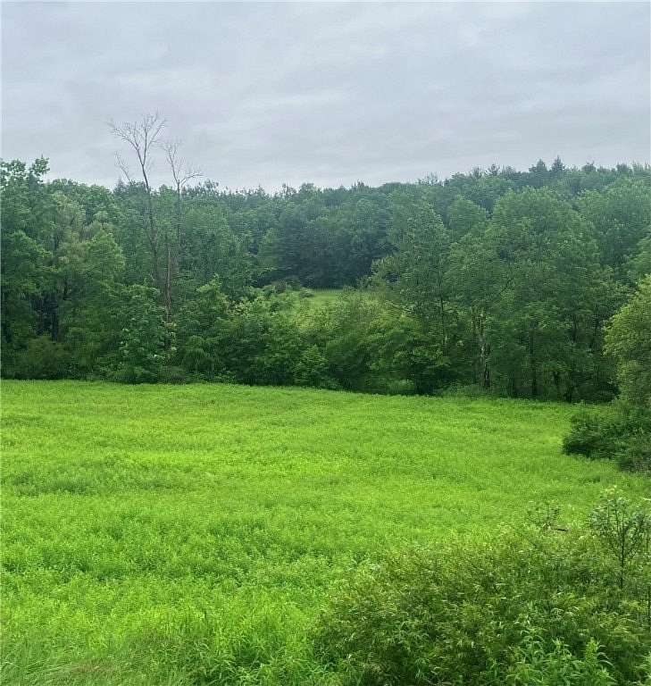 5.7 Acres of Land for Sale in Gilbertsville, New York