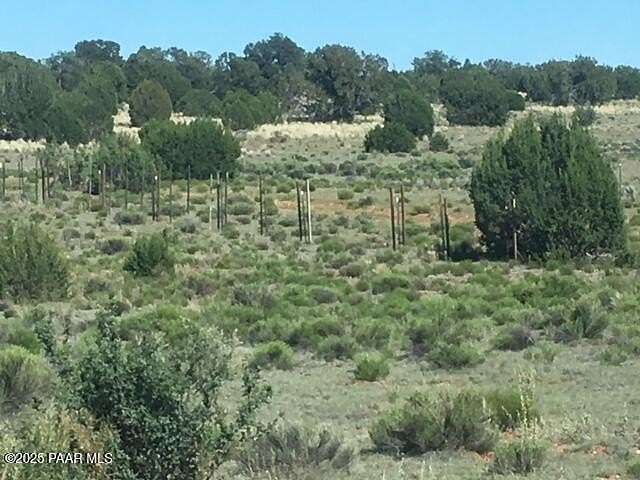 40 Acres of Recreational Land for Sale in Seligman, Arizona