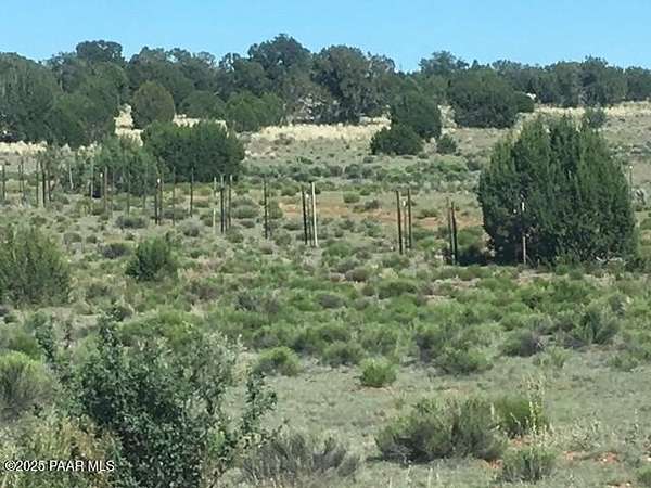40 Acres of Recreational Land for Sale in Seligman, Arizona