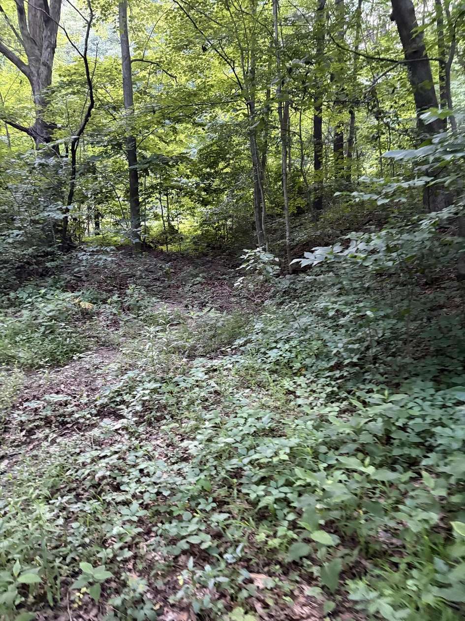 3 Acres of Residential Land for Sale in Falling Spring, Virginia