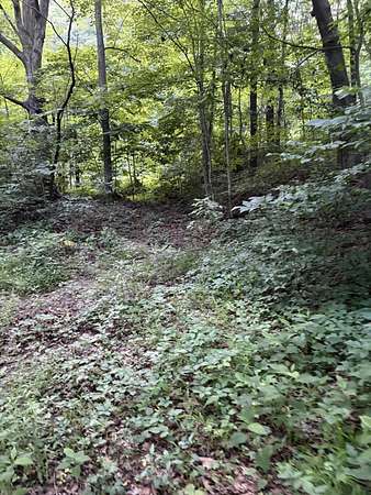 3 Acres of Residential Land for Sale in Falling Spring, Virginia
