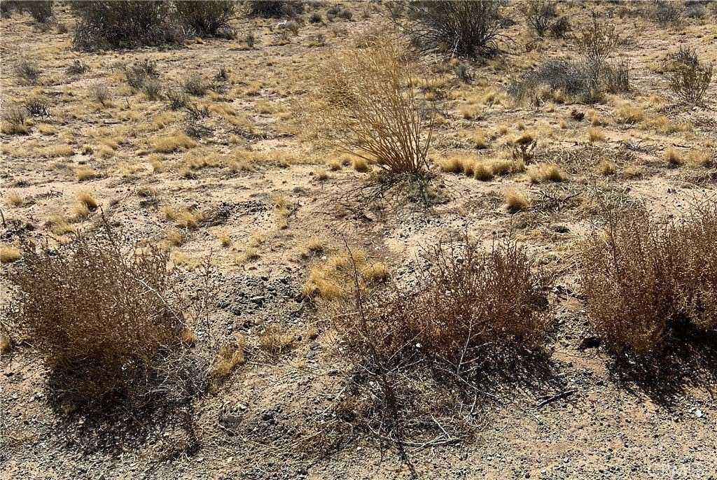 94.2 Acres of Land for Sale in Chiriaco Summit, California