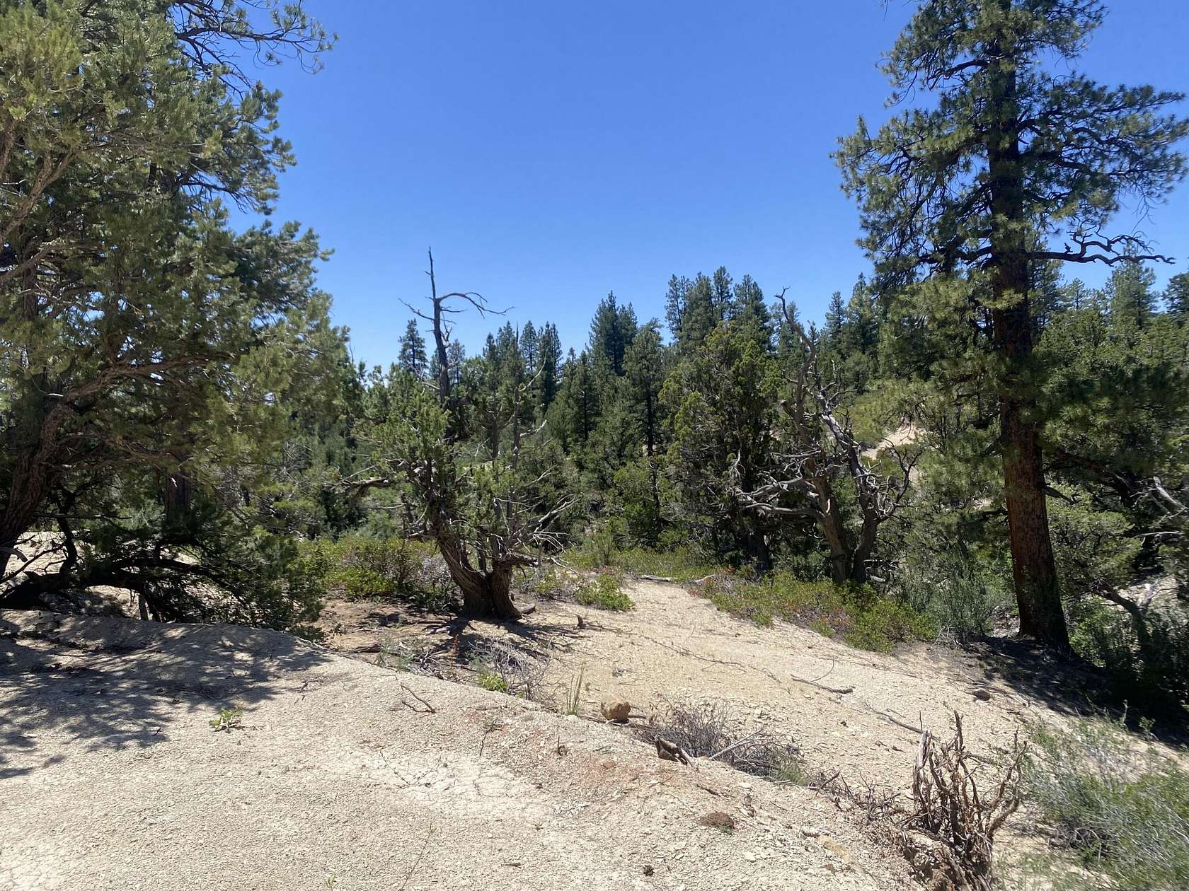 1.16 Acres of Land for Sale in Virgin, Utah