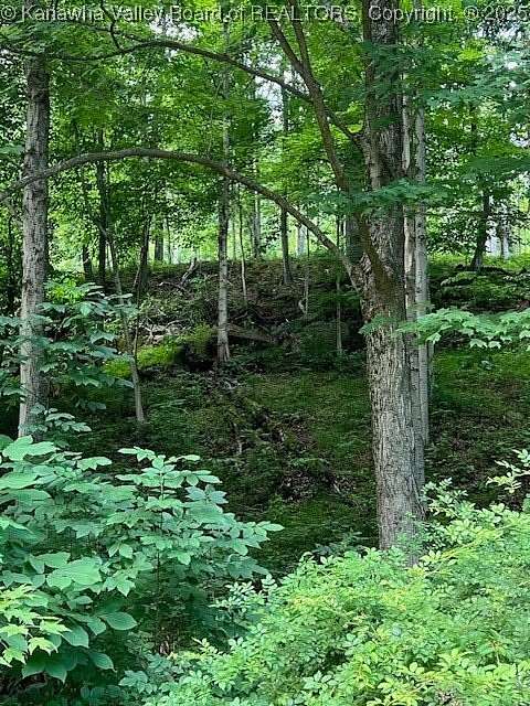 23.2 Acres of Recreational Land for Sale in Sissonville, West Virginia